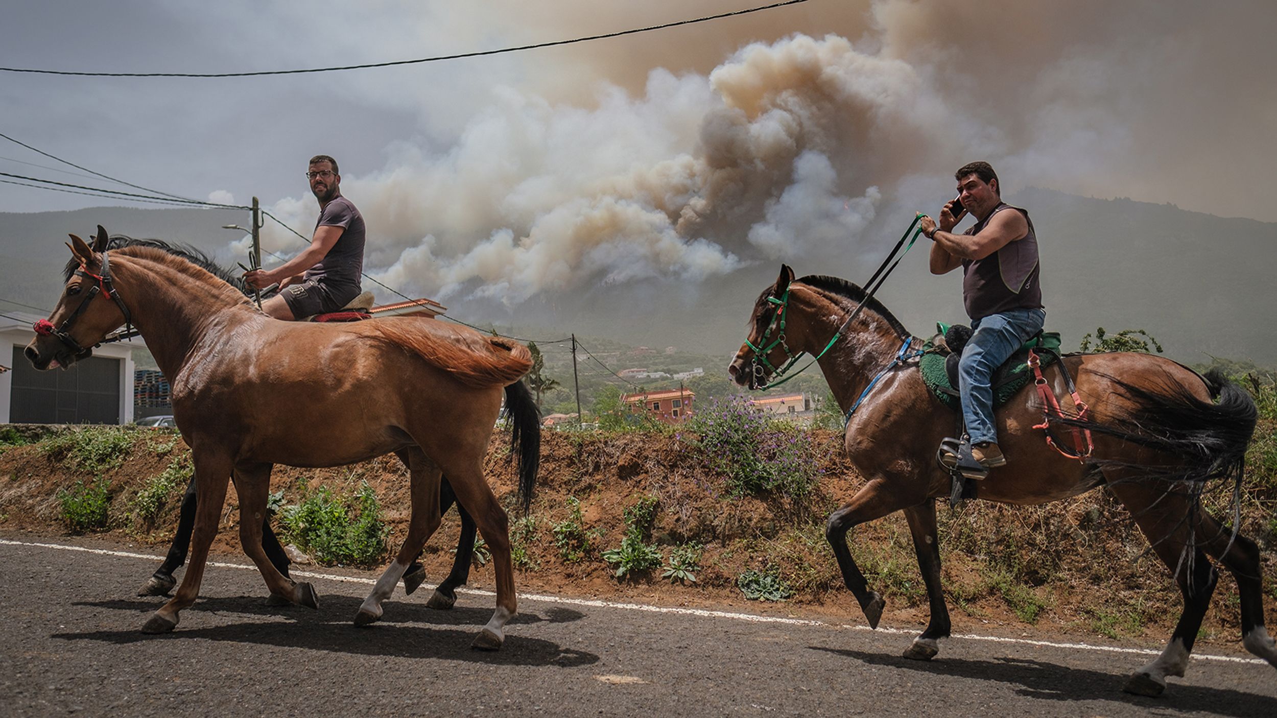 Residents of the neighborhood of Las Llanadas, on the Spanish island of Tenerife, rush to evacuate their animals from the area on July 23.