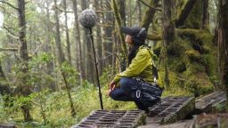 08 taiwan first quiet trail intl hnk TEASE
