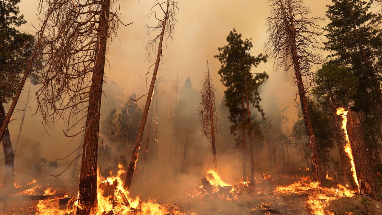 The Oak Fire burns through trees Sunday near Jerseydale, California.