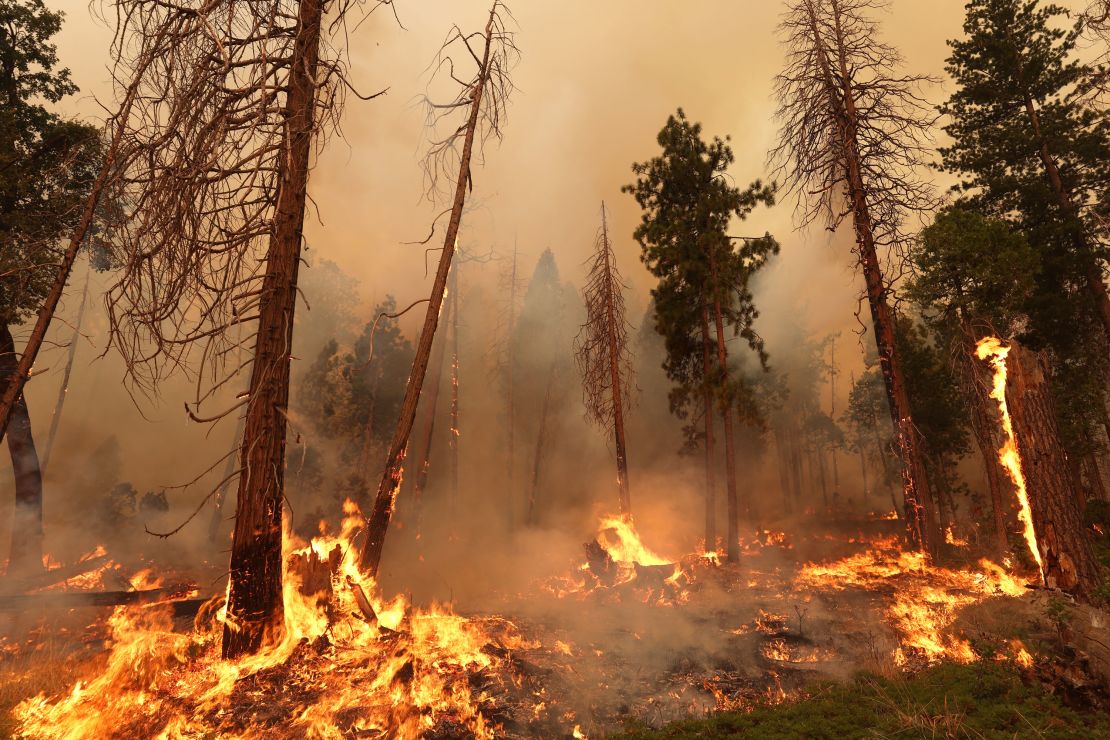 The Oak Fire burns through trees Sunday near Jerseydale, California.
