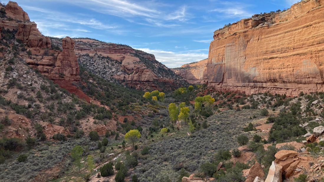 <strong>Ute Canyon: </strong>One backcountry hiking trail makes its way through Ute Canyon.
