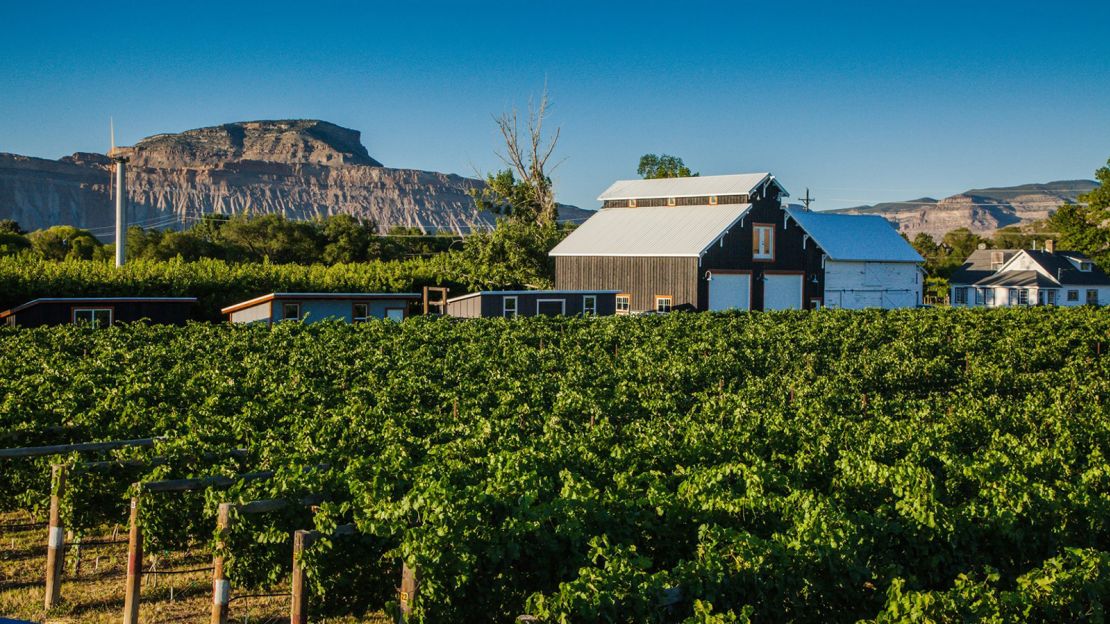 Restoration Vineyards is a family-owned operation on East Orchard Mesa, above the Colorado River in Palisade.