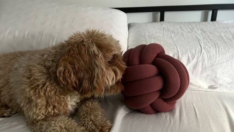 Bearaby Large Hugget