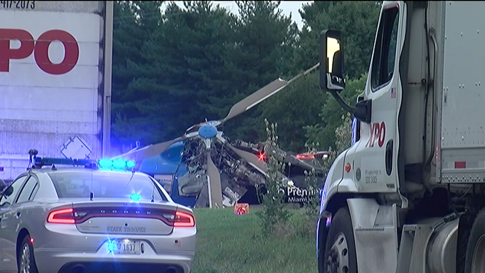 Police Say A Cicada Is Responsible For A Car Crash In Ohio : NPR