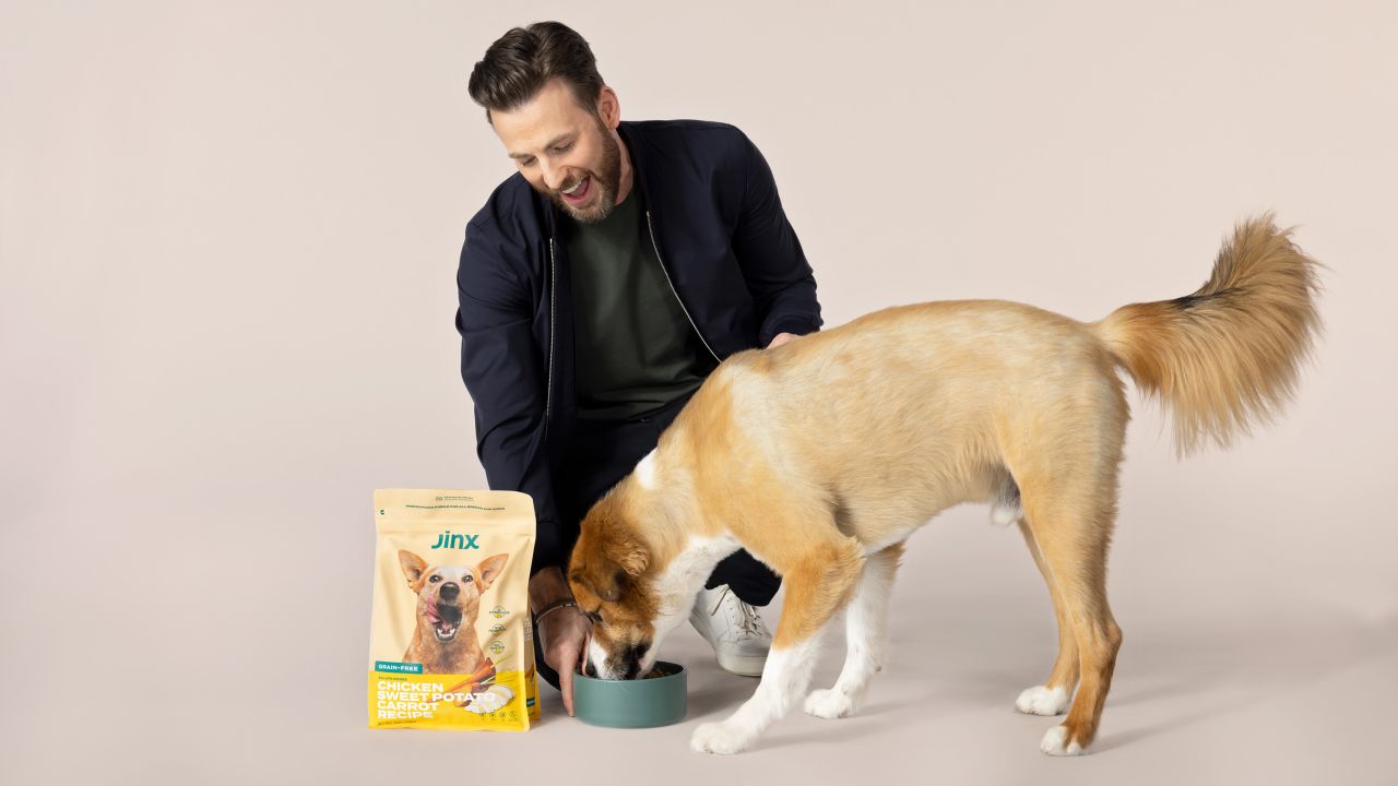 Chris Evans shares his approach to dog parenting