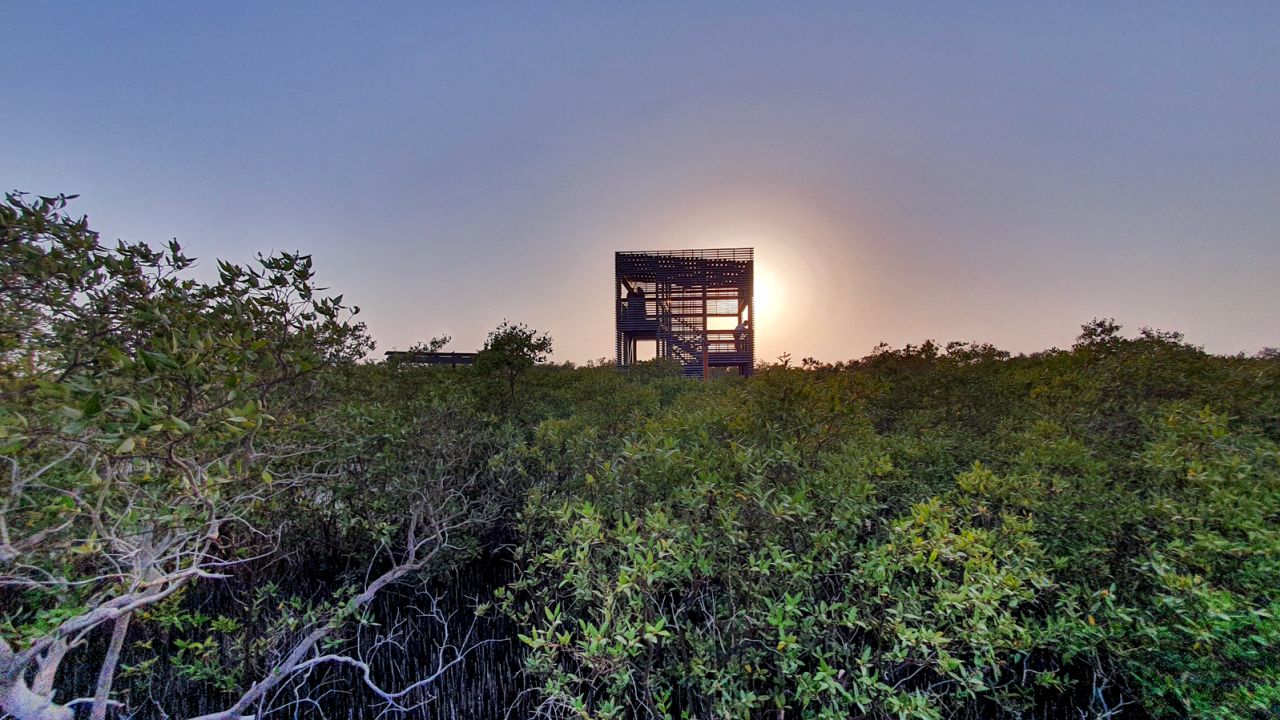 A viewing tower offers beautiful sunset vistas over the dense forest.