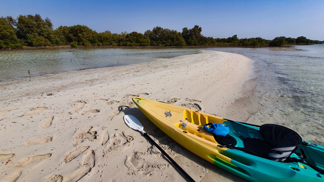 <strong>Beautiful escape:</strong> Kayak tours of Abu Dhabi's Jubail Mangrove Park offer a peaceful break from the hot deserts and cityscapes of the emirate. 