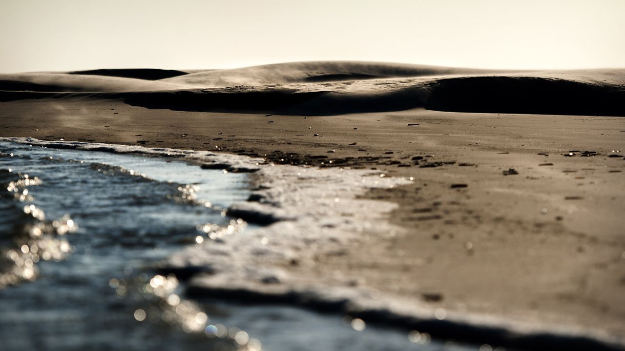 A gas field is being considered off the island of Schiermonnikoog. Scientists oppose the development because of the risk it would pose to the park's ecosystems.