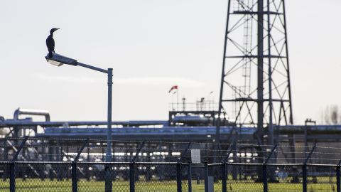 A bird stands near a pole of natural gas extraction machinery and piping in the Groningen onshore gas field.