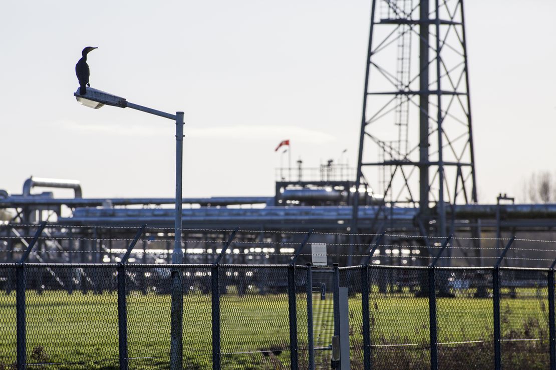 A bird stands by a pole of natural gas extraction machinery and pipework at the onshore Groningen gas field.
