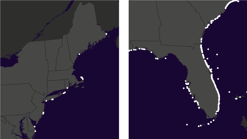 See where shark attacks are happening across the US | CNN