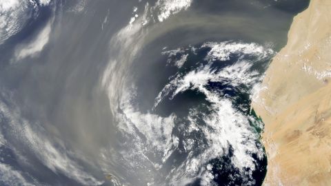 A large swirl of Saharan dust ejects into the Atlantic on July 26, 2022.