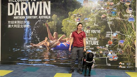 Australia has brought in a number of new biosecurity measues, including a detector dog at Darwin Airport in the country's Northern Territory, due to an outbreak of Foot and Mouth disease (FMD) in Indonesia. 