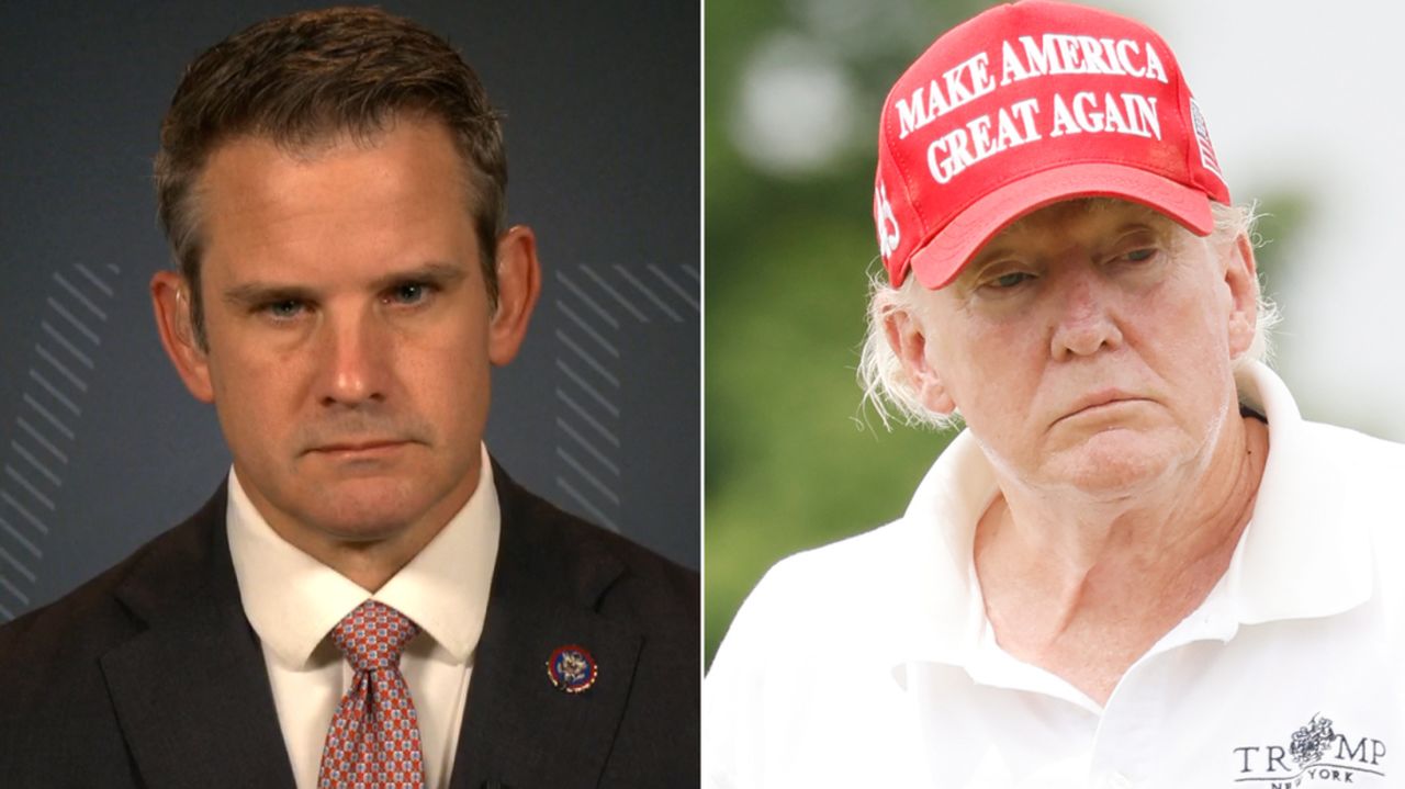 adam kinzinger trump split