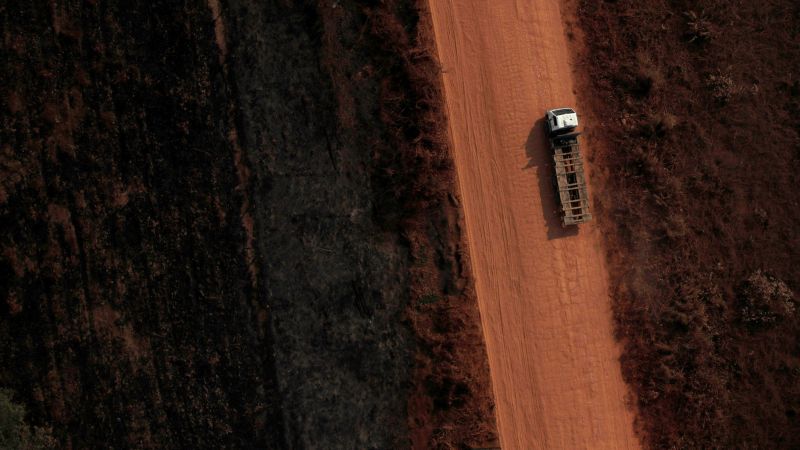 Brazil’s environment chief approved paving Amazon highway against prior IBAMA warnings