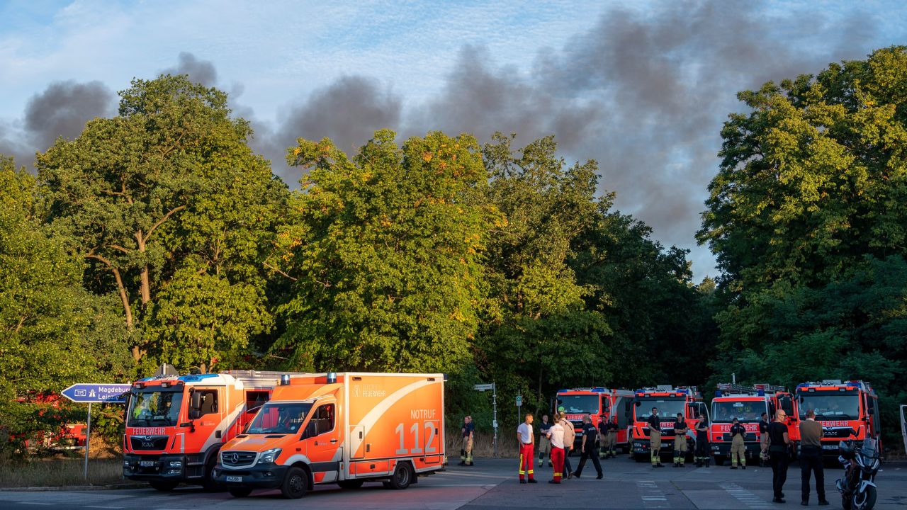 Fire engines pictured by the forest.