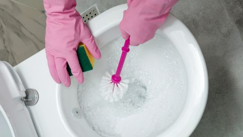 best bathroom cleaners lead