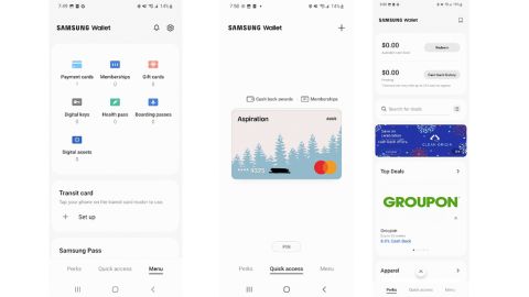 (left to right): Samsung Pay features a wallet that can be used to handle all of your digital credentials, including airline boarding passes and payment apps. Here is a stored credit card in the wallet and various perks and benefits available.