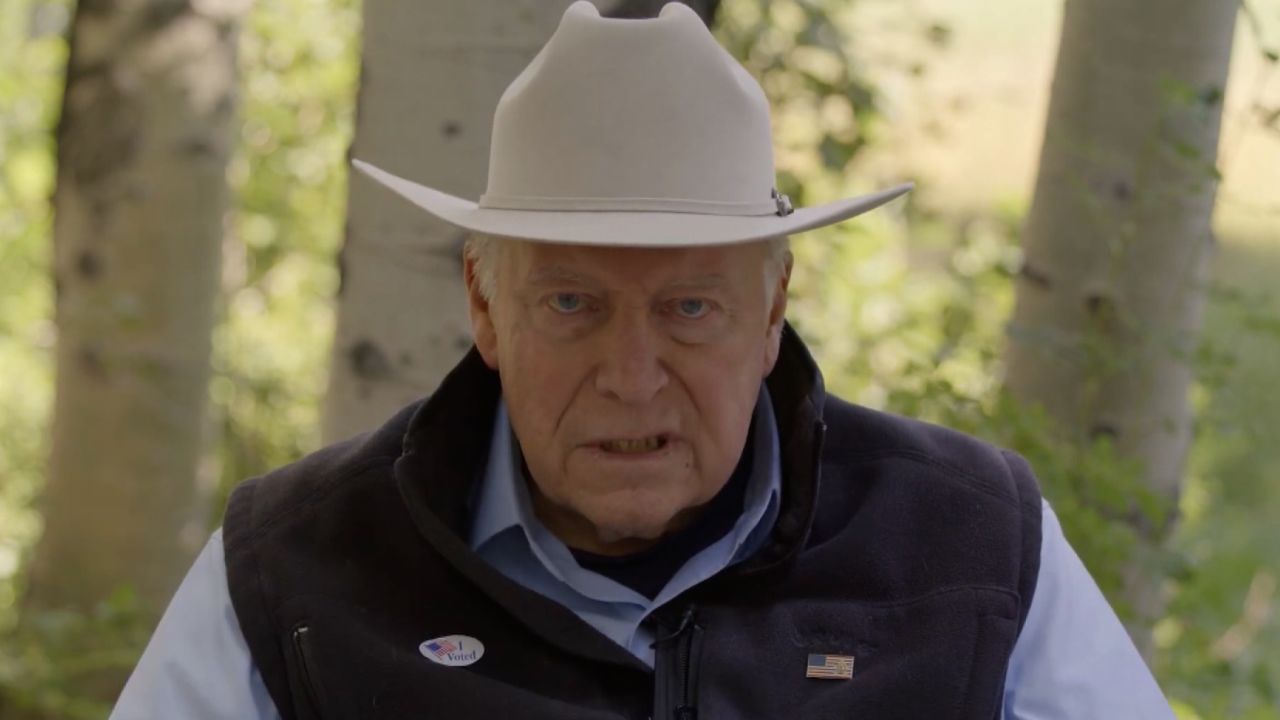 dick cheney vpx