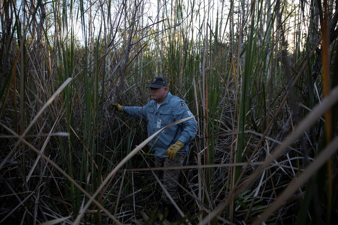 Thomas Aycock explores the Everglades as he hunts Burmese pythons in 2020's challenge.