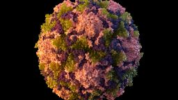 This 2014 illustration made available by the U.S. Centers for Disease Control and Prevention depicts a polio virus particle. 