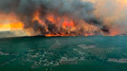This photo provided by the fire brigade of the Gironde region SDIS 33, (Departmental fire and rescue service 33) shows flames consume trees at a forest fire in Saint Magne, south of Bordeaux, south western France, Wednesday, Aug. 10, 2022.