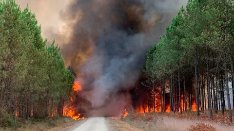 This photo provided by the fire brigade of the Gironde region SDIS 33, (Departmental fire and rescue service 33) shows flames consume trees in Saint Magne, south of Bordeaux, southwestern France on Wednesday.