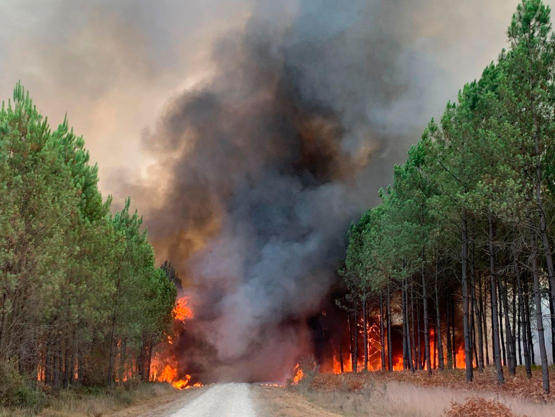 This photo provided by the fire brigade of the Gironde region SDIS 33, (Departmental fire and rescue service 33) shows flames consume trees in Saint Magne, south of Bordeaux, southwestern France on Wednesday.