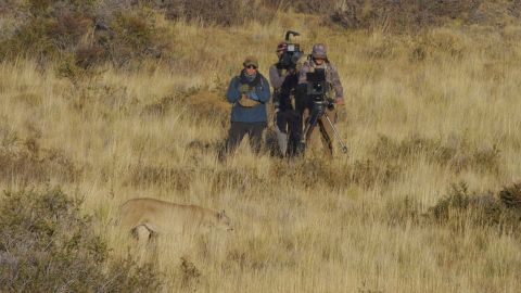 (From left) Producer and director René Araneda, Elijah Harris and Axel Peterson film a puma on the move in Chile's Torres del Paine National Park.