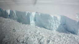 A 20 metre-high ice cliff forming the edge of the Wilkins Ice shelf on the Antarctic Peninsula is seen from a plane January 18, 2009. REUTERS/Alister Doyle/File Photo