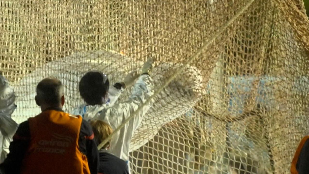 screengrab beluga whale rescue