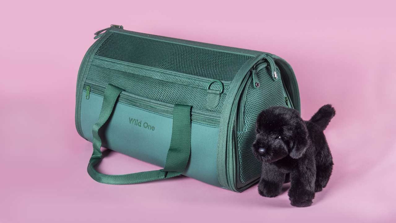 Interactive Dog Toys Handbag Shape Dog Plush Toy Luxury Small
