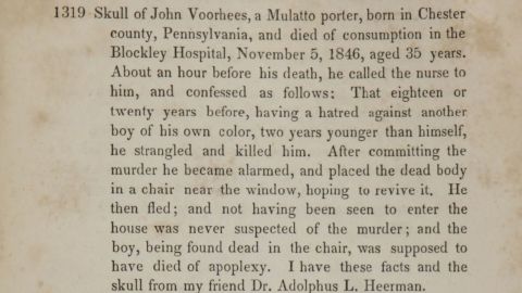 An excerpt from Morton's 1849 book, "Catalogue Of Skulls Of Man And The Inferior Animals, In The Collection Of Samuel George Morton."