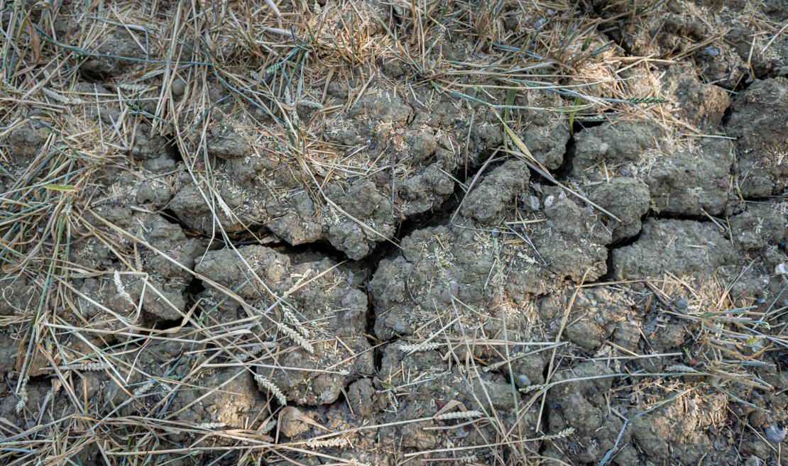Cracked earth in a dried out field near Chelmsford, England.