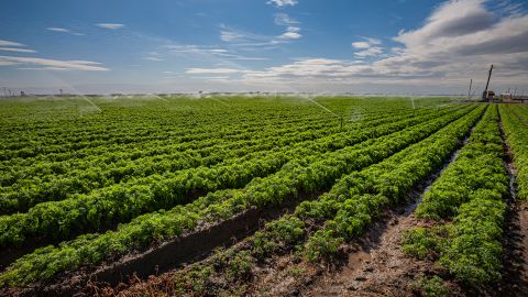 California's Central Valley, which produces a quarter of the nation's food, could be devastated by a mega flood.