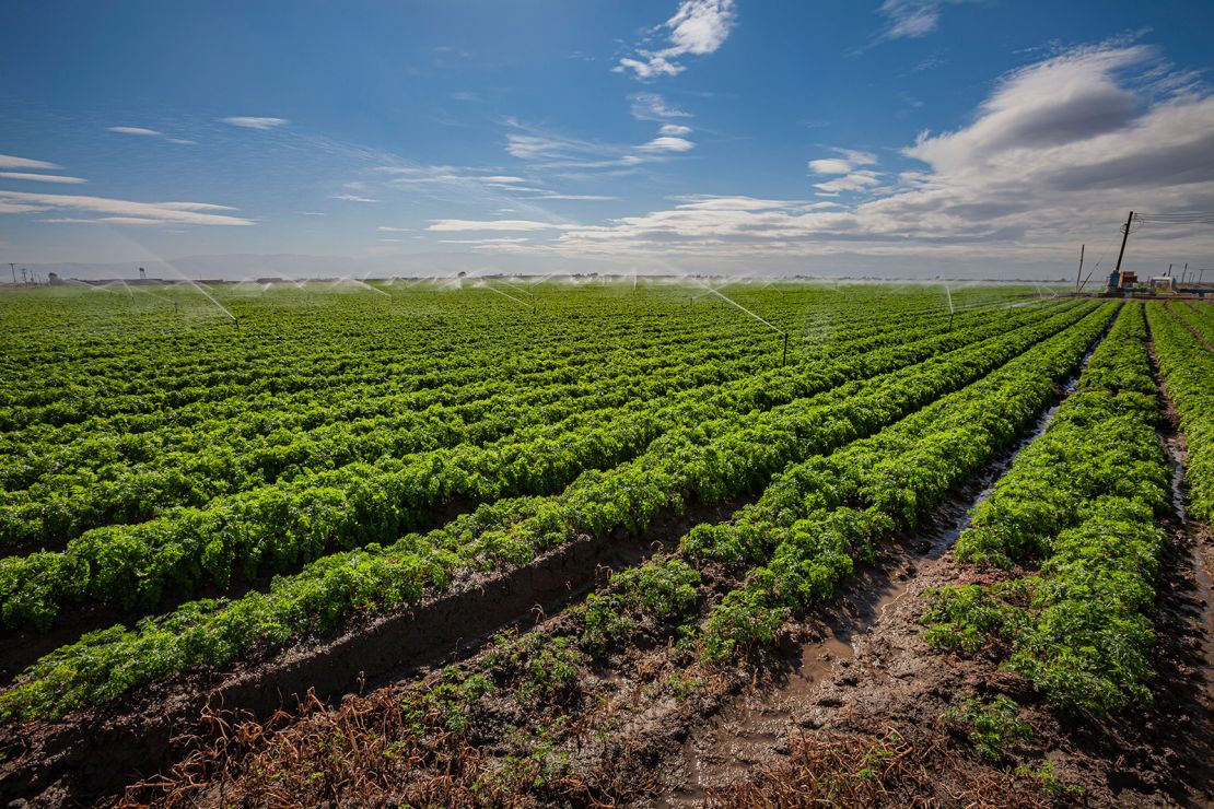 California's Central Valley, which produces one-fourth of the nation's food, will be ravaged by a megaflood.