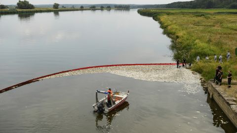 تتم إزالة الأسماك يوم السبت من حوض صيد متنقل في نهر أودر.