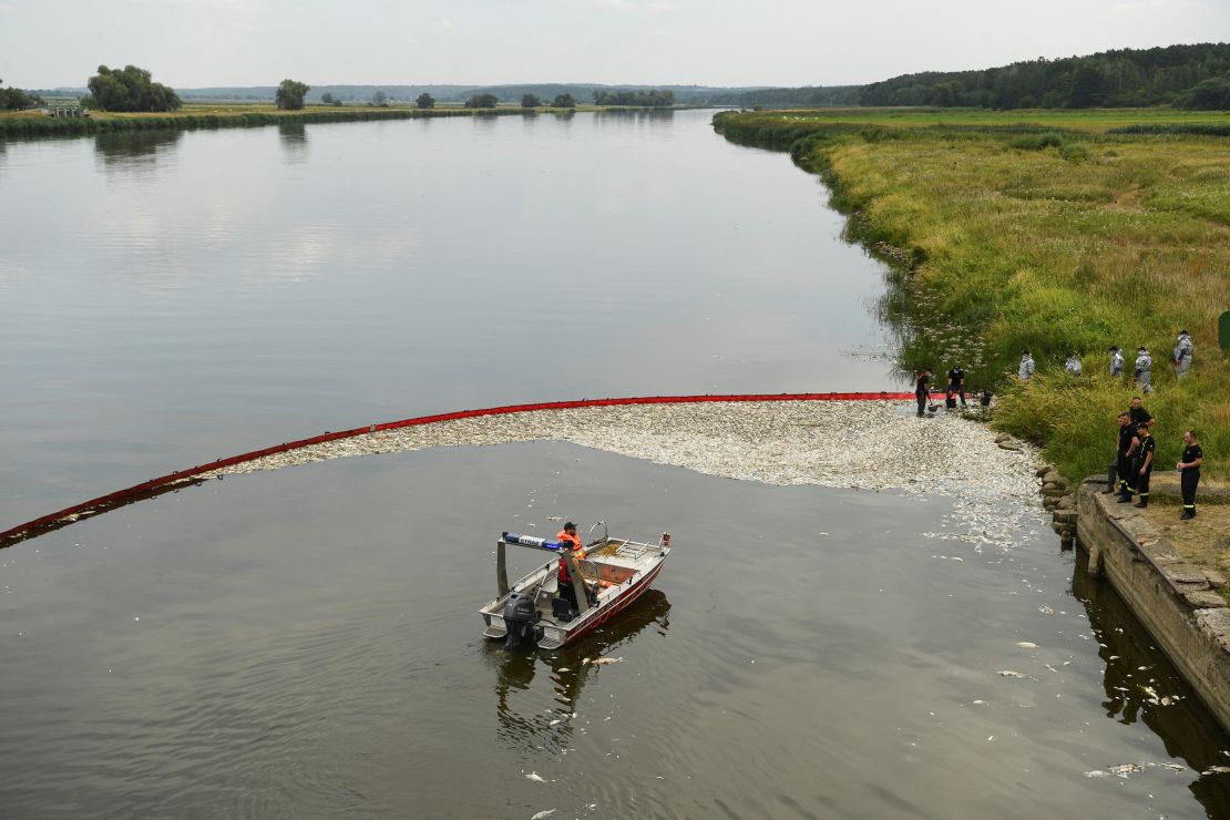 Fish are removed at a mobile catch basin from the Oder river on Saturday.