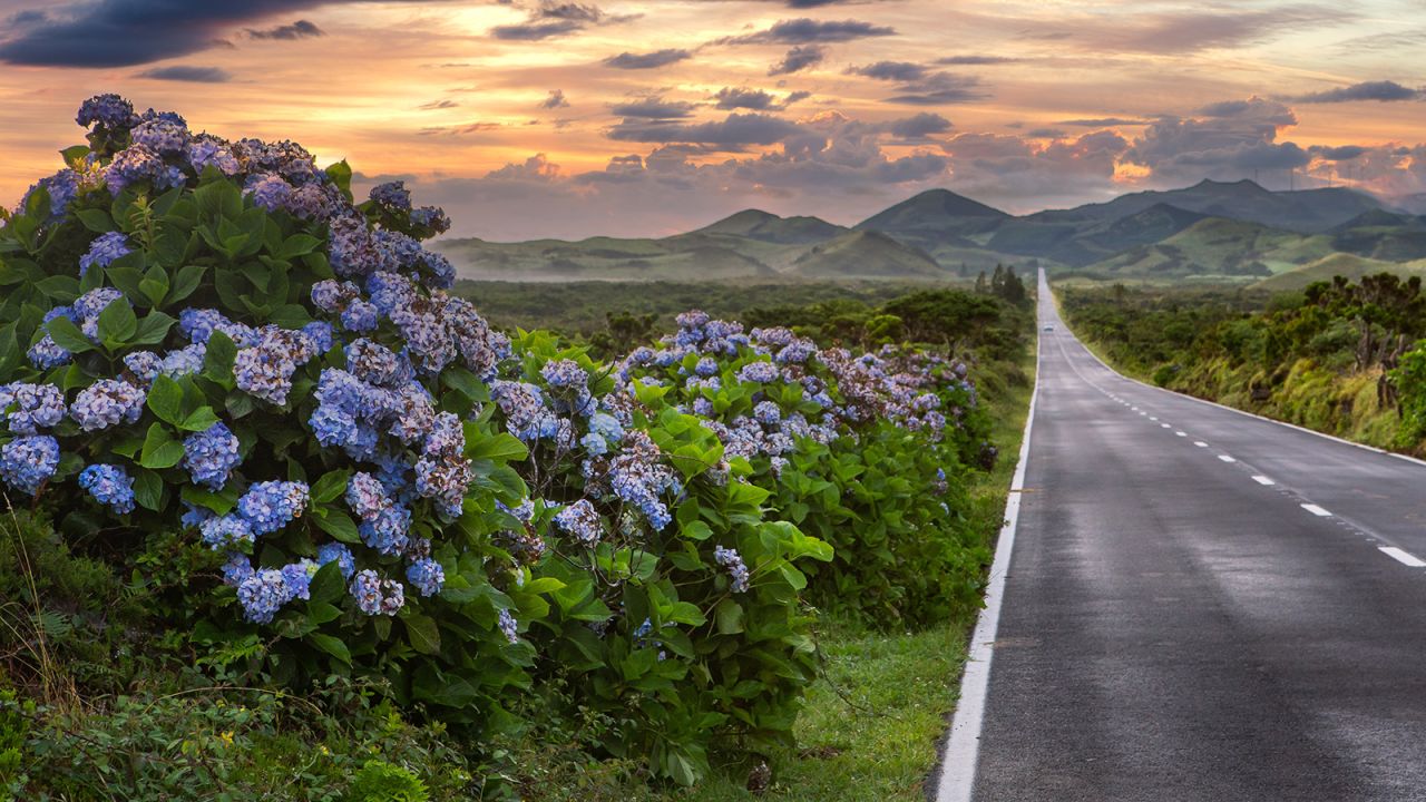 <strong>Azores:</strong> A seemingly endless road heads into the distant cloudy mountains on Pico Island in the Azores chain. These Portuguese islands are sometimes called "the Hawaii of the Atlantic." Pico will be of special interest to wine lovers.