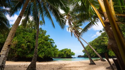 Palm trees and blue sky frame a tropical beach in Samoa in the South Pacific.