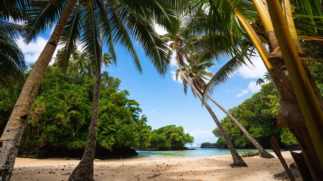 Palm trees and blue sky frame a tropical beach in Samoa in the South Pacific.