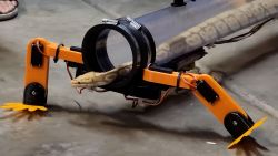 robotic legs for snake