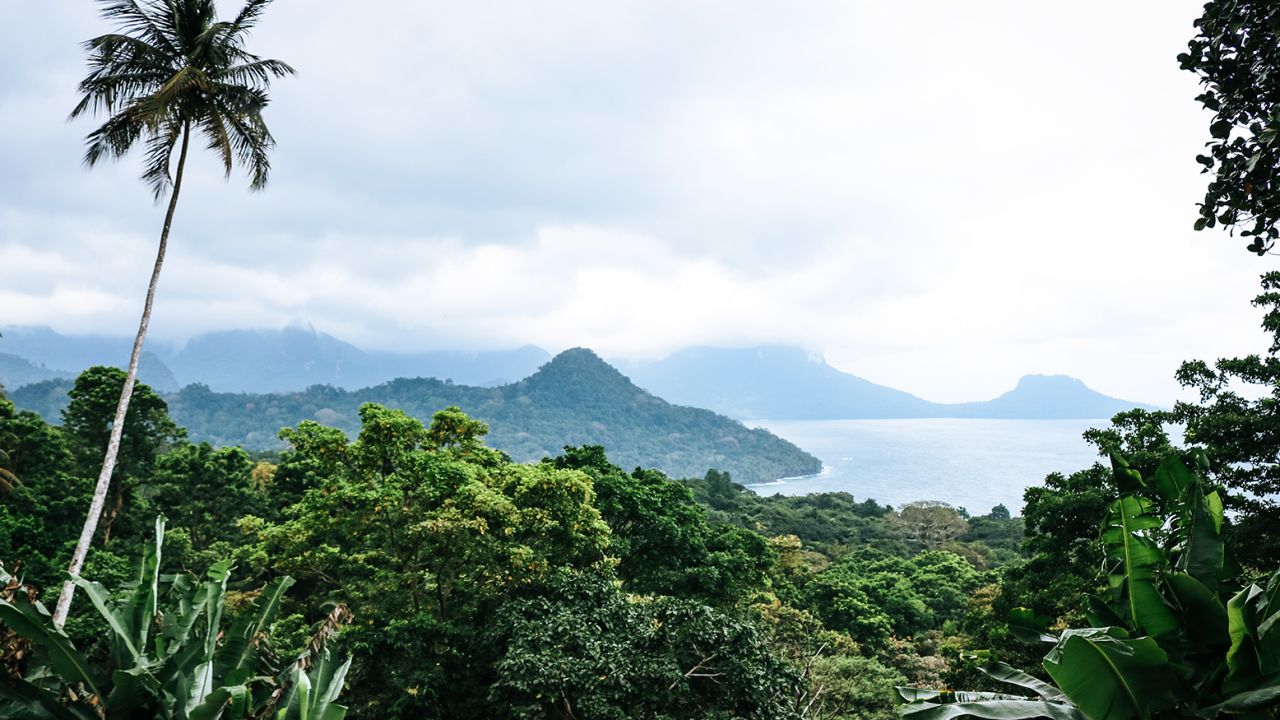 This is the lush island of Principe, part of São Tomé and Príncipe. This island nation is in the Atlantic Ocean off the coast of Gabon in Africa and was moved to Level 2 this week.