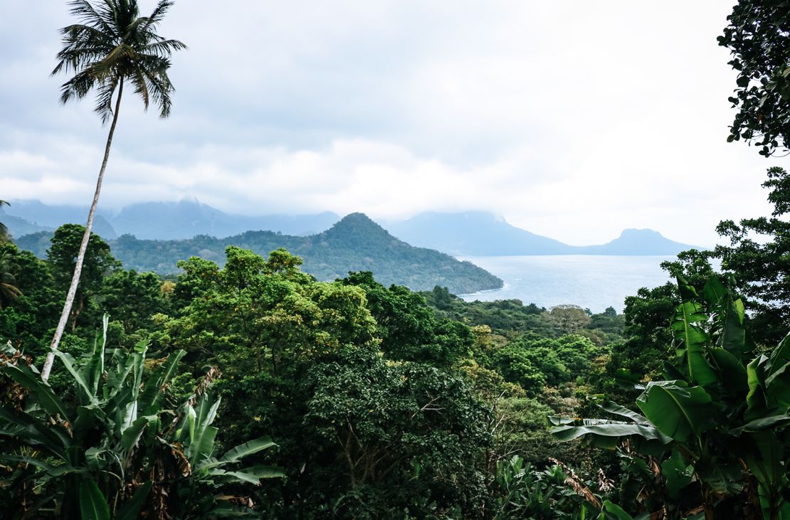 This is the lush island of Principe, part of São Tomé and Príncipe. This island nation is in the Atlantic Ocean off the coast of Gabon in Africa and was moved to Level 2 this week.