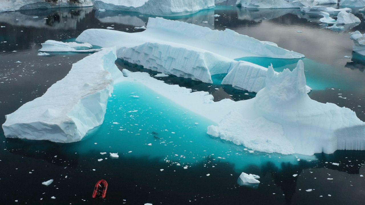 An iceberg habitat in Greenland served as the study site, where researchers collected a juvenile specimen of Liparis gibbus.