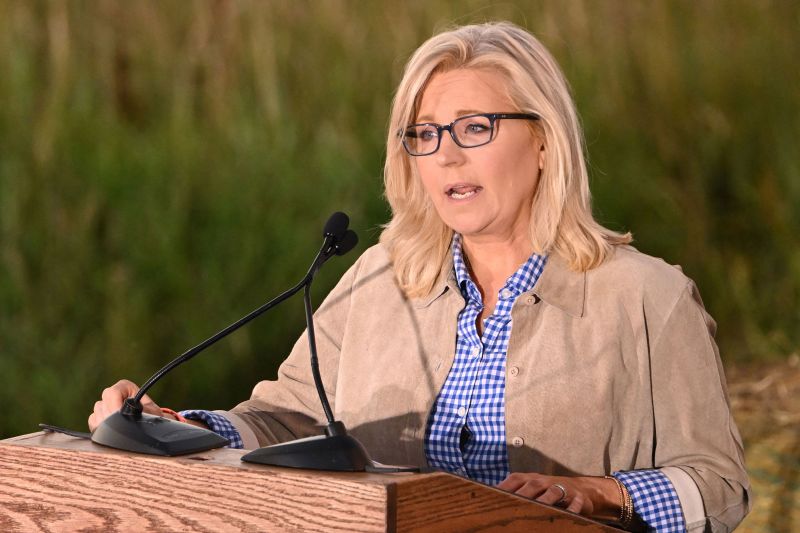 How Liz Cheney Lost Wyoming’s Lone Seat In The House | CNN Politics