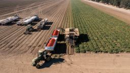 Farmers harvest tomatoes in Winters, California, US, on Friday, Aug. 12, 2022. Drought and water shortages are hurting processing tomato production in a region responsible for a quarter of the worlds output, with the squeeze set to exacerbate already elevated prices for tomato-based goods. 