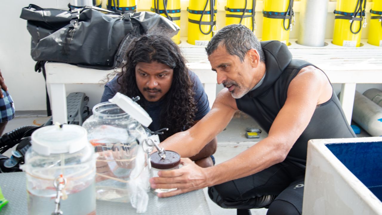 Ahmed Najeeb (left) and Luiz Rocha inspect fish specimens during a recent expedition in the Maldives.