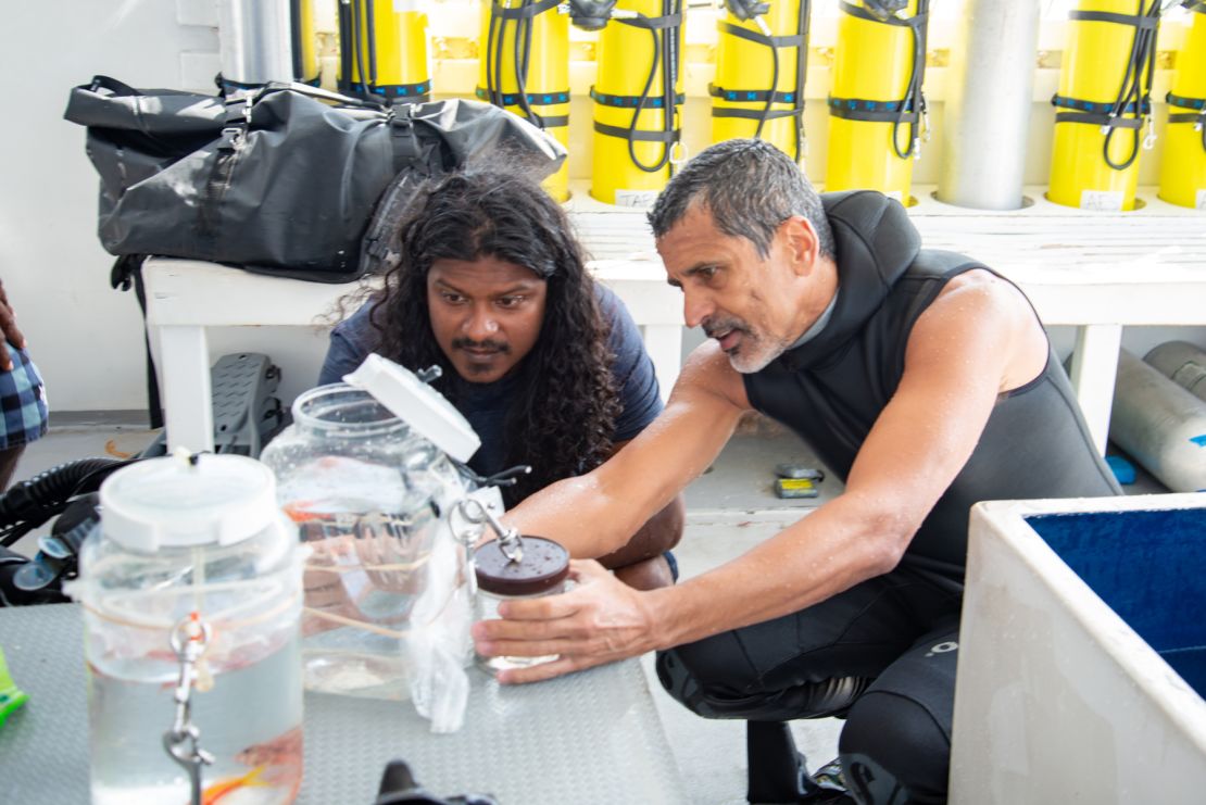 Ahmed Najeeb (left) and Luiz Rocha inspect fish specimens during a recent expedition in the Maldives.