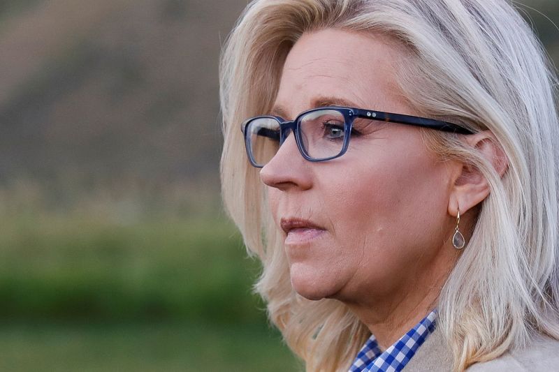 Analysis: Liz Cheney's Loss May Be The Second Worst For A House ...